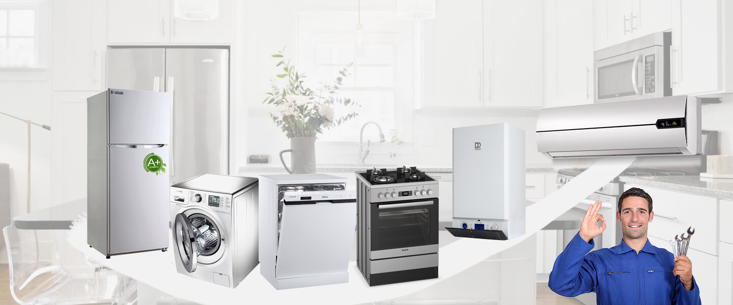 Çeltik Electrolux Servisi